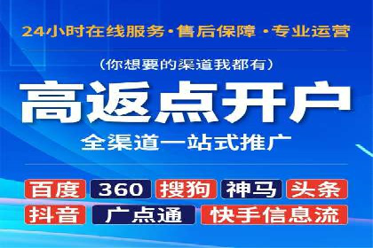 百度推广排名案例报告：某行业巨头如何运用其占领市场高地